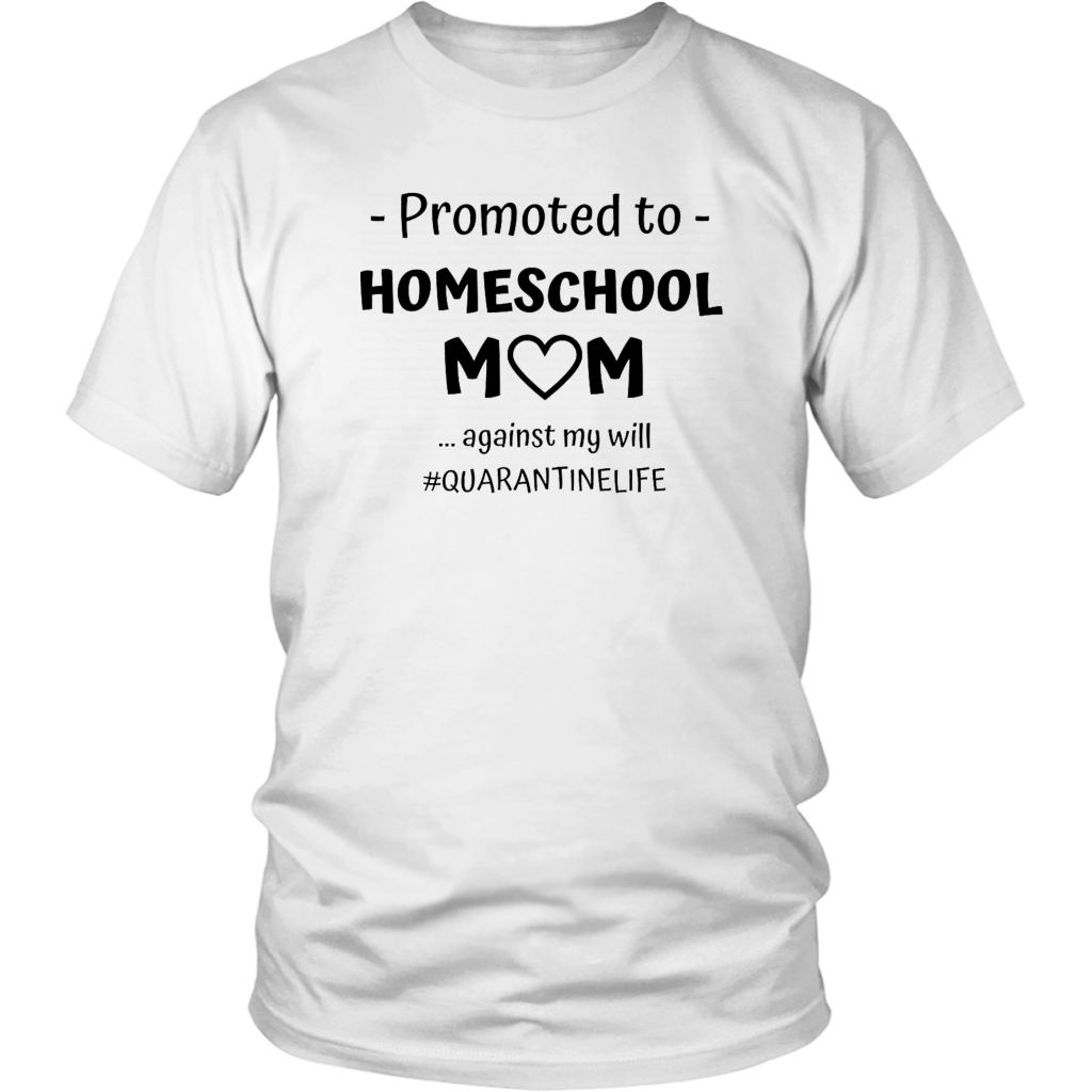 Promoted to Homeschool Mom Against My Will