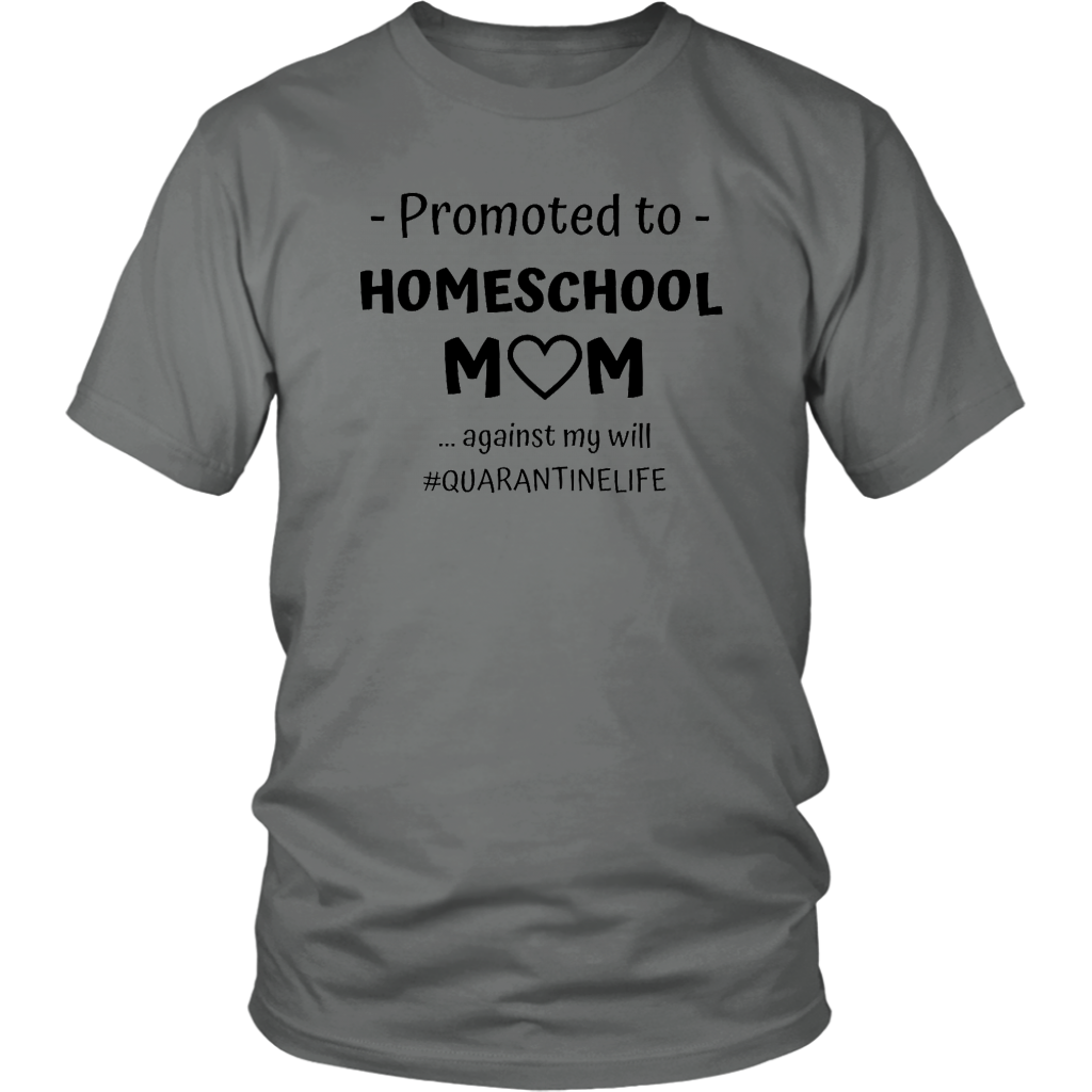 Promoted to Homeschool Mom Against My Will