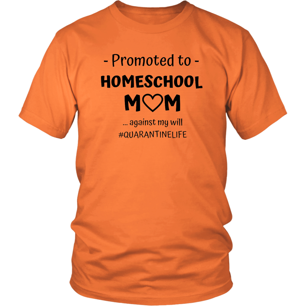 Promoted to Homeschool Mom Against My Will