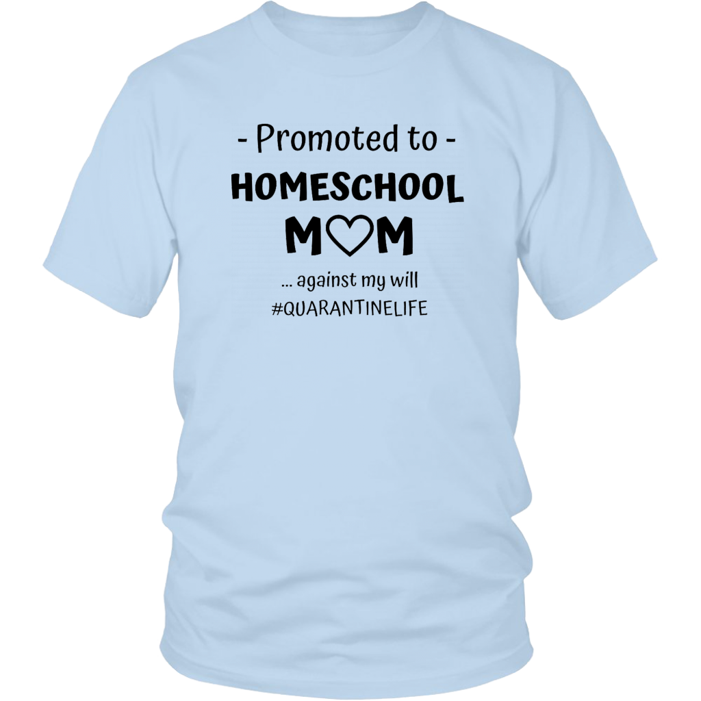 Promoted to Homeschool Mom Against My Will