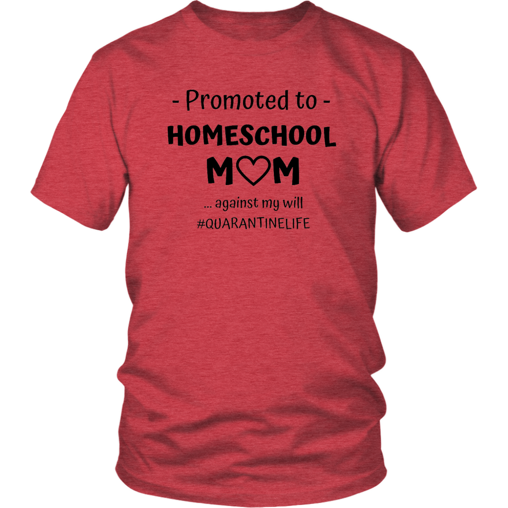 Promoted to Homeschool Mom Against My Will